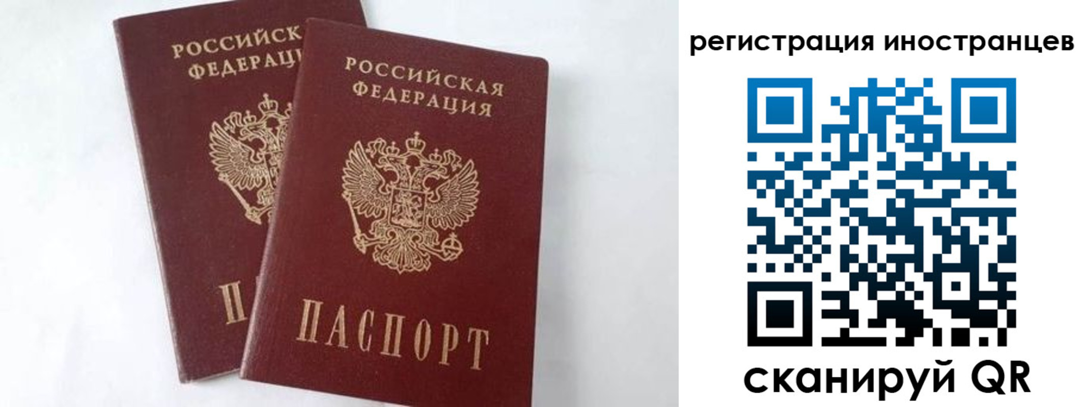 регистрация для школы в Ставропольском крае